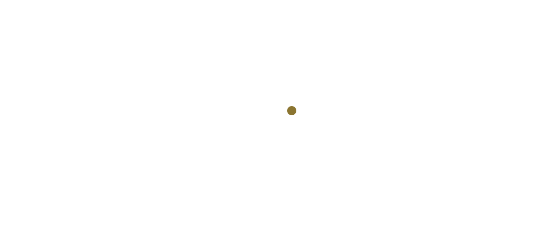 isotipo animado  Nómada Rabbit