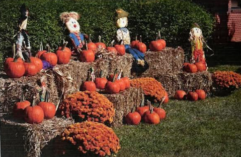 First Annual Fall Festival