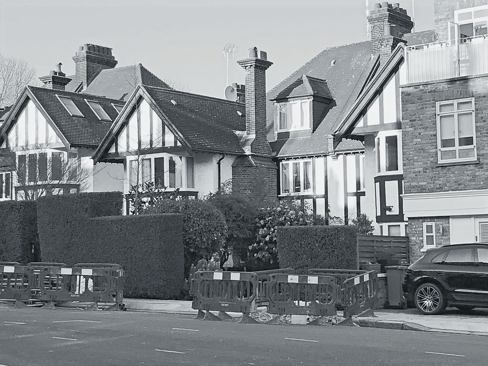 primrose gardens