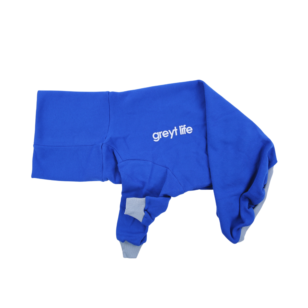 Rafi 2.0 - Greyhound Sweater