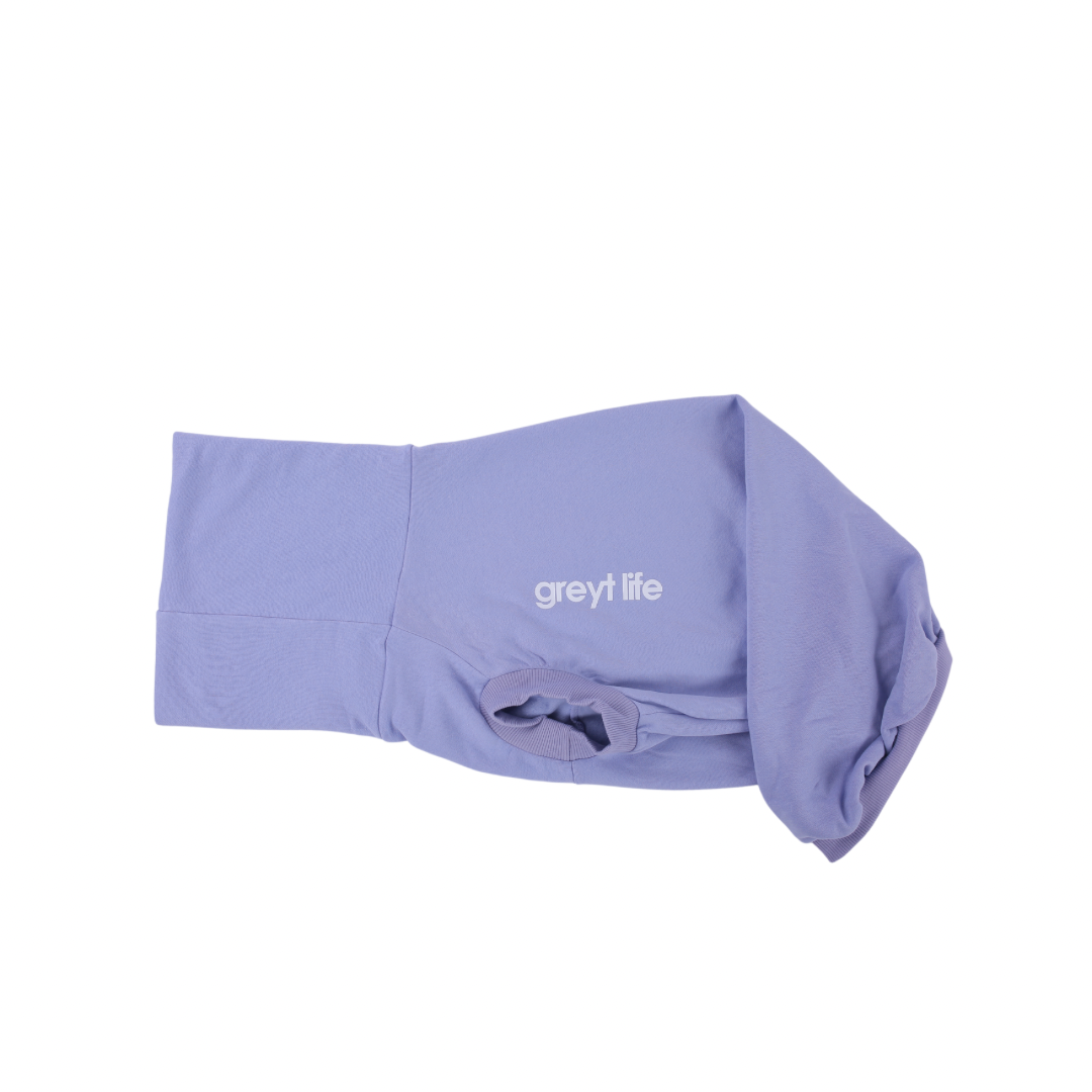 Greyhound in a cozy greyhound jumper, designed for deep-chested dogs like Vizslas and Weimaraners.