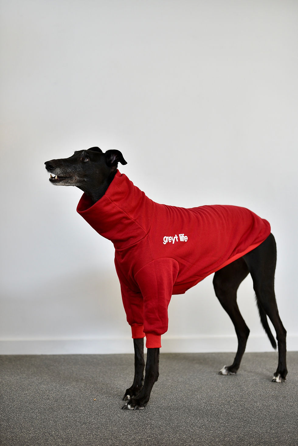 Thumbnail: Theo - Greyhound Sweater
