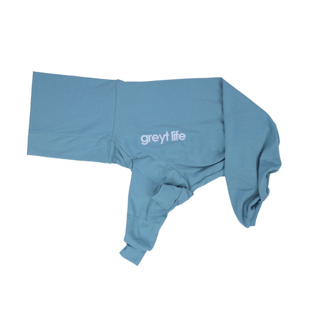 Trent - Greyhound Jersey
