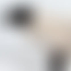 Sleeveless & Stress-Free: for new greyhounds or hard-to-dress dogs.