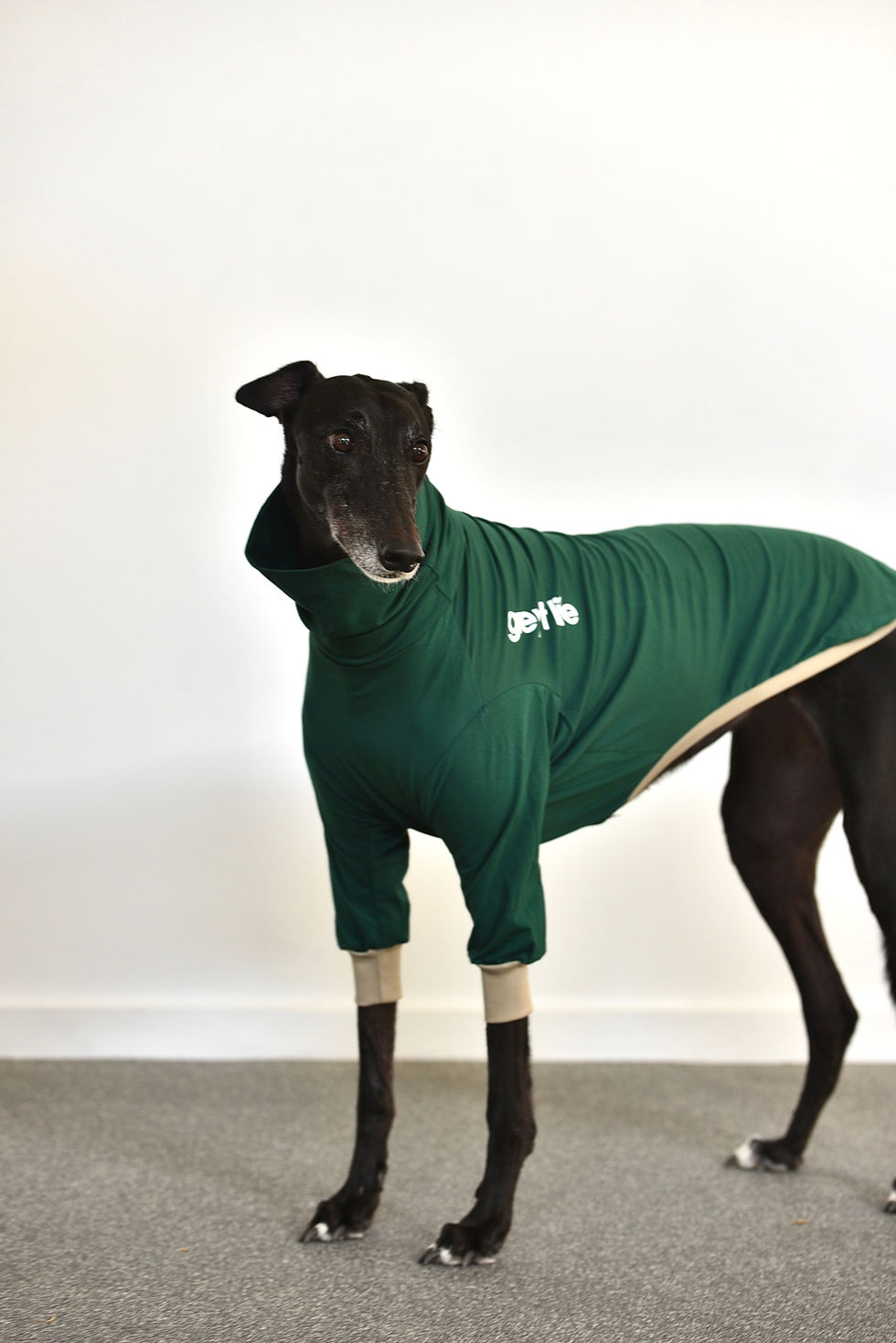 Thumbnail: Ash 2.0 - Greyhound Long Sleeve Tee