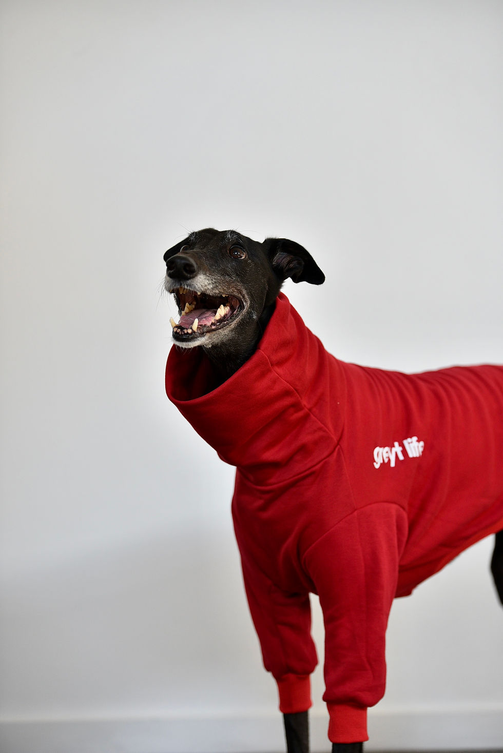 Thumbnail: Theo - Greyhound Sweater