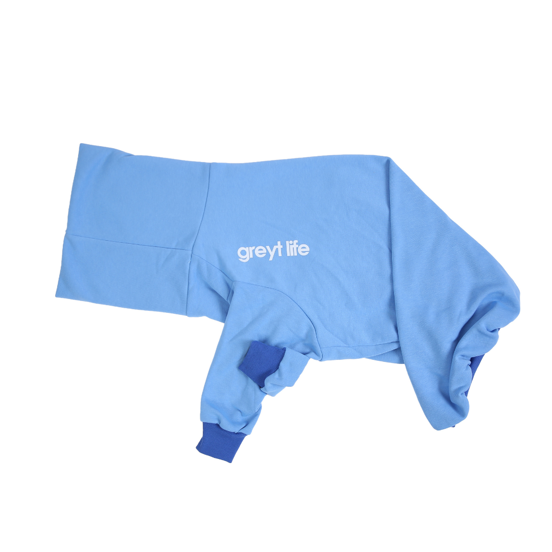 Earl - Greyhound Sweater