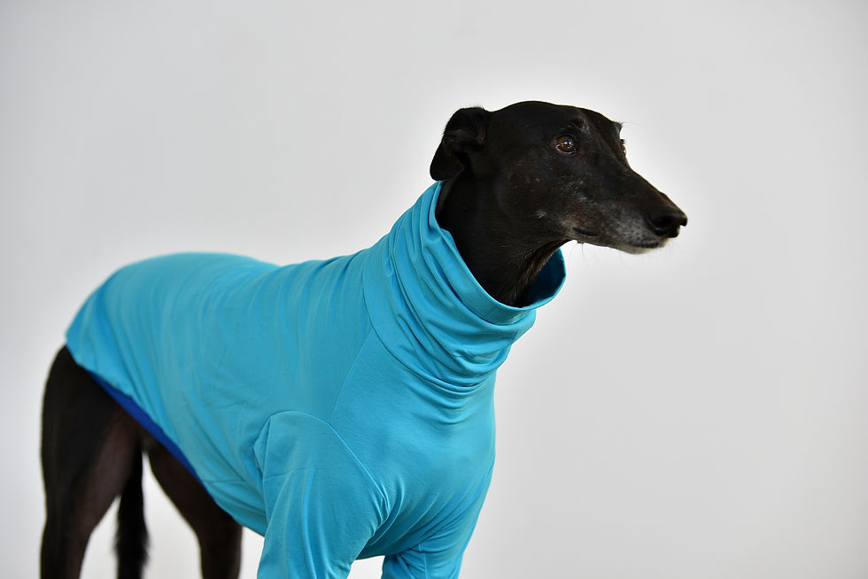 Thumbnail: Earl - Greyhound Long Sleeve Tee