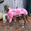 Thumbnail: Bella - Greyhound Long Sleeve Tee