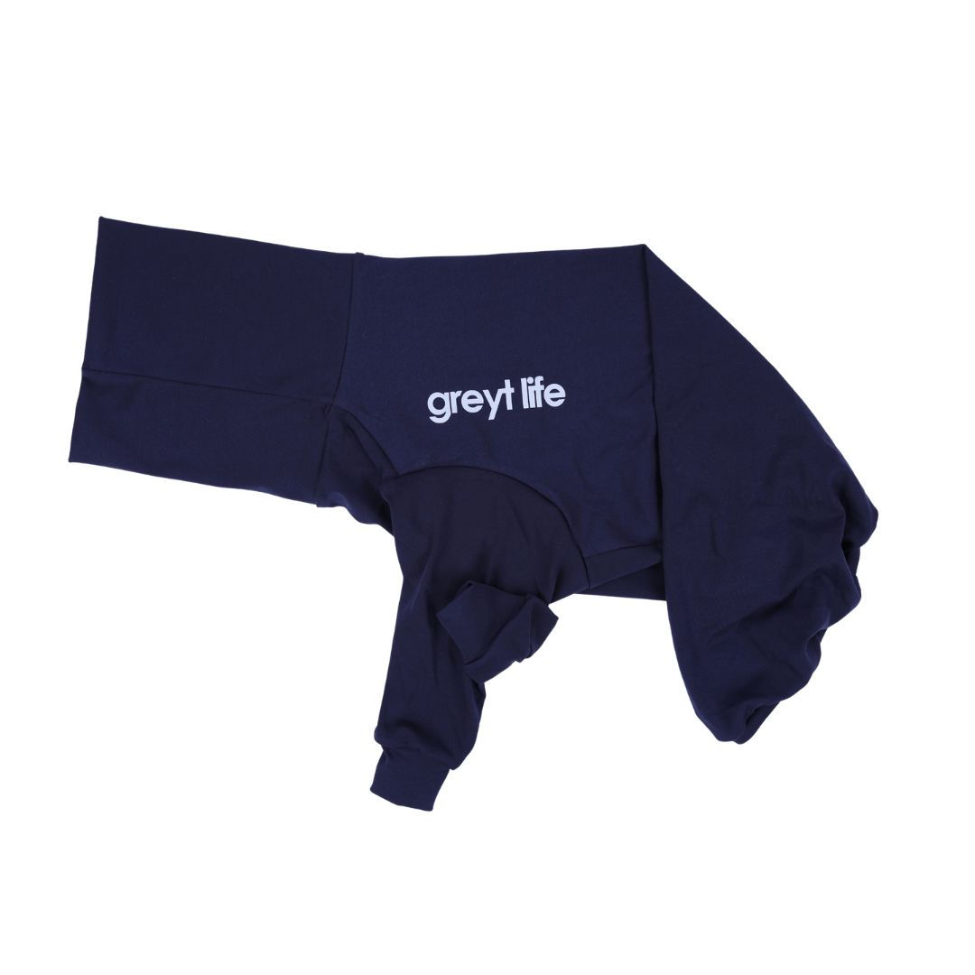 Ruben - Greyhound Jersey