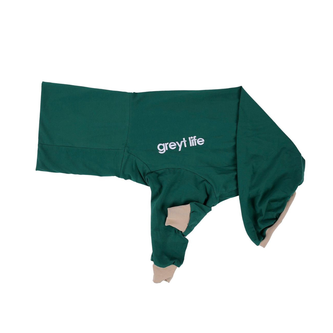 Ash 2.0 - Greyhound Long Sleeve Tee