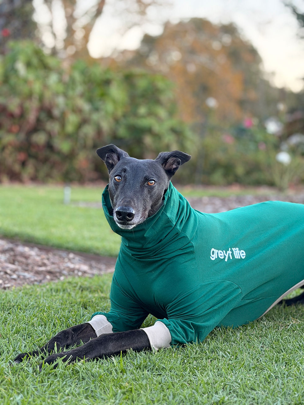 Thumbnail: Ash 2.0 - Greyhound Long Sleeve Tee