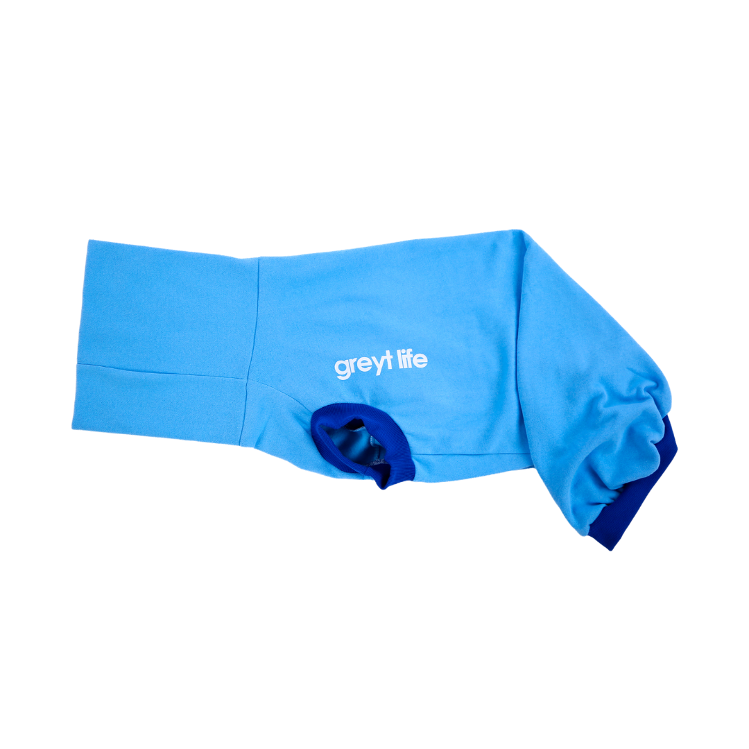 Soft and stretchy greyhound clothing, perfect for warmth and comfort.