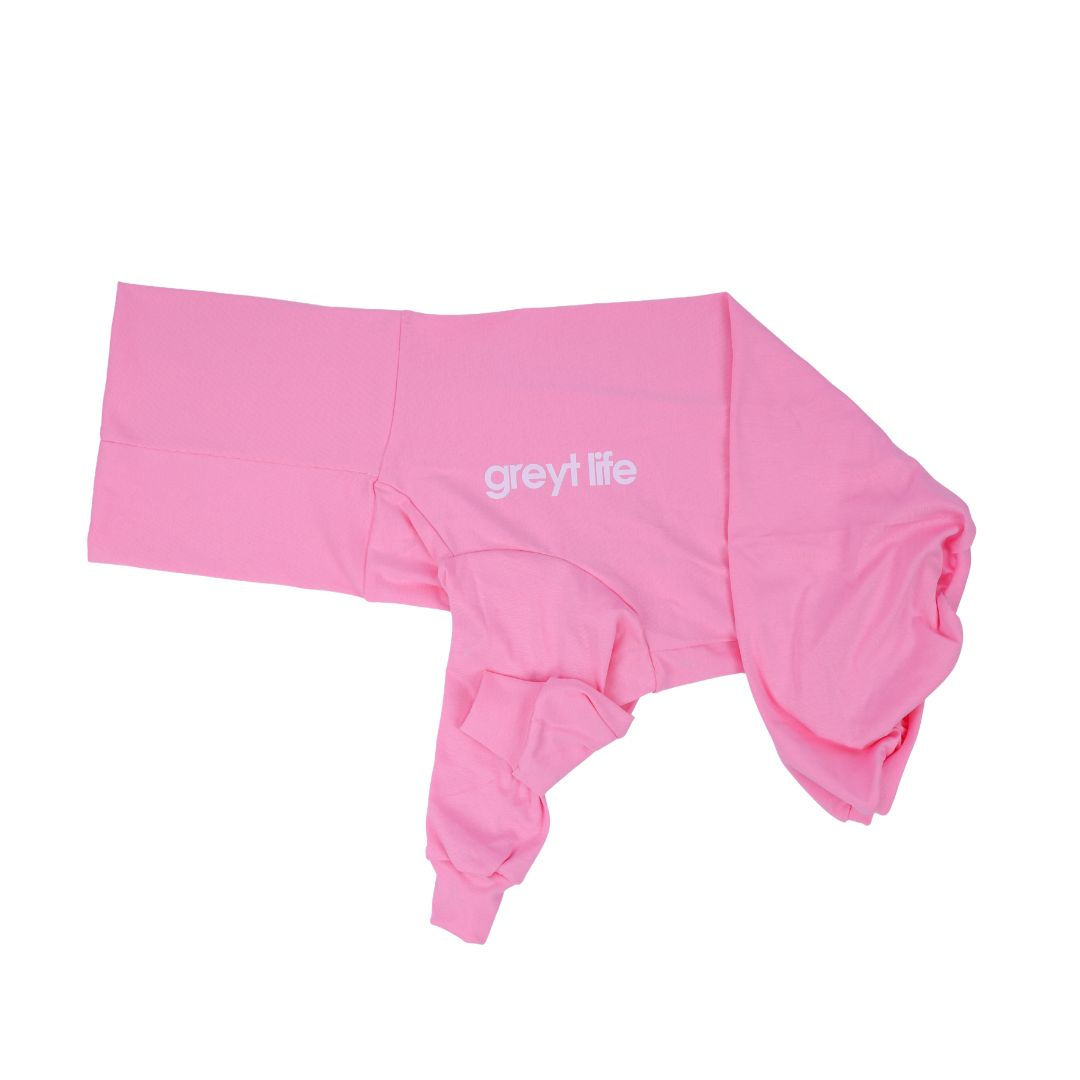 Shelly - Greyhound Jersey