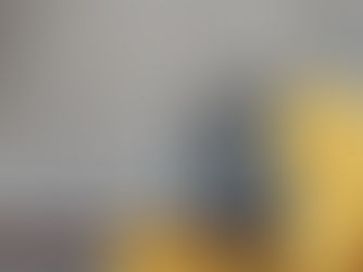 Möbelindustrie: Ökologische Kriterien in der Analyse 