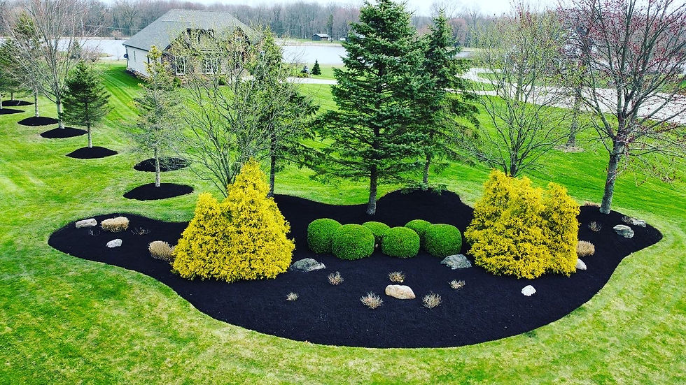 1AC59FB4-752C-4D84-A9F5-F647B2845462