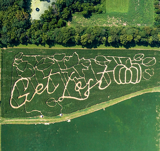 DJI_0574.png