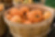 PGZ_3901.jpg
