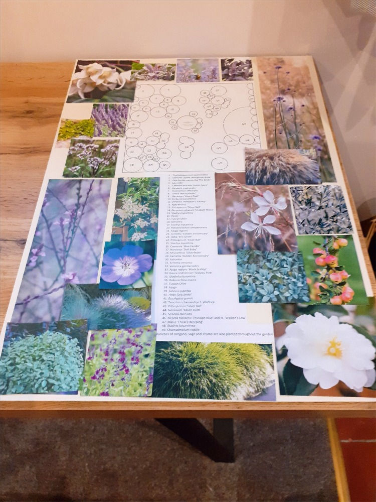 Planning for next year. Mood board and plan for a meditteranean courtyard