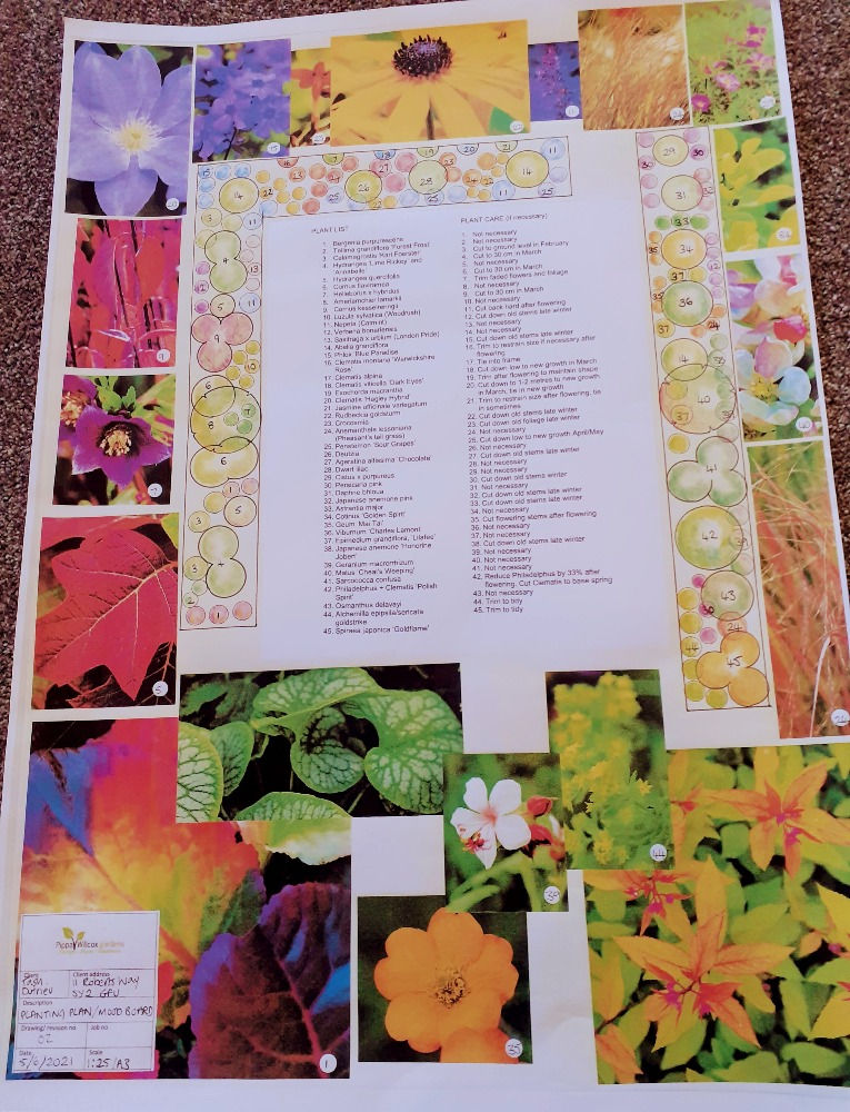 Planting plan, plant list and images to help first time gardeners