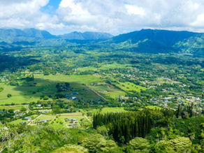 Maui Car Rental Prices Surge As Minivans and Large SUV's Sell Out Completely