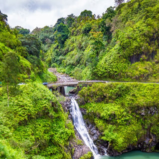 Maui Car Rental Prices in June 2026 Were Double What They Were One Year Earlier