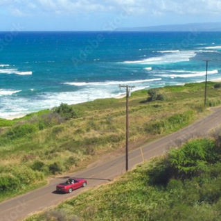 Maui Car Rental Prices Are At Low Shoulder Season Level But Higher Than Last Year