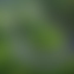 Have Maui Car Rental Prices Hit Rock Bottom For 2026?