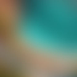 Grab Last-Minute Savings For Maui Car Rental - And Convertibles Are On Sale