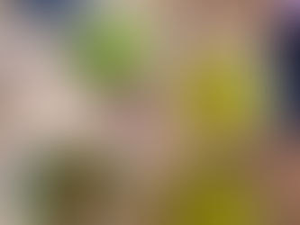 Uma semana a começar em cheio!