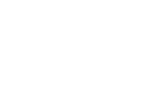 blood_and_shadows_book_Titel.png