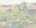 rustic, country farm scene with bountiful vegetable and fruit gardening, fields, barns etc