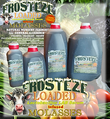 Loaded Molasses Jugs