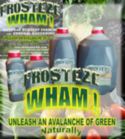 WHAM! Varietal Jug PhotoB.png