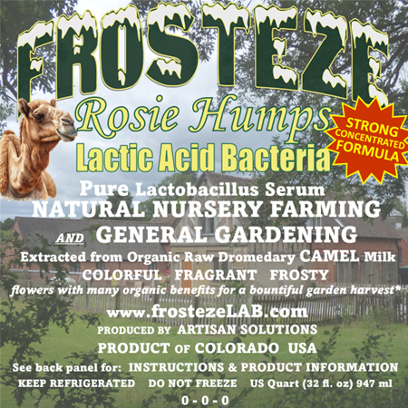 Rosie Humps LAB Quart