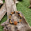 Miniature : Bracelet en bois et pierres d'onyx