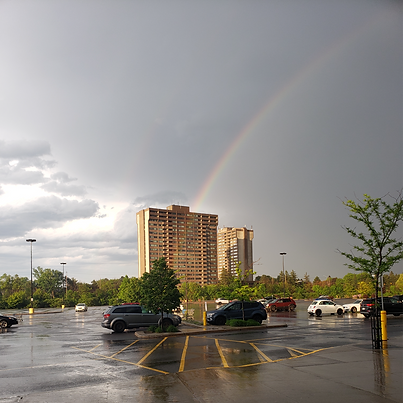 The Forward Party Canada platform housing affordability Ottawa building rainbow