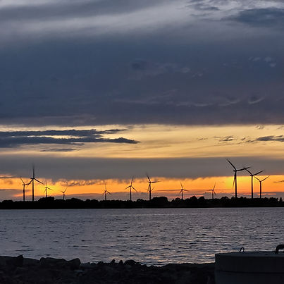 The Forward Party Canada platform environment Wolfe Island wind turbines