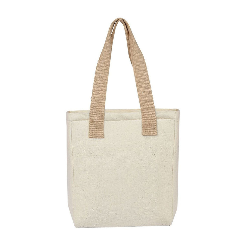 Lonchera Paula SIN 105