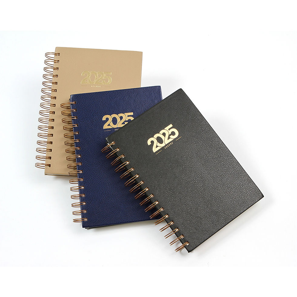 Agenda Diaria Bernetti EX-082