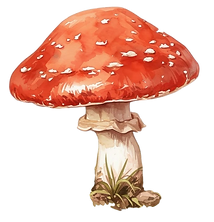 Photoroom-20250717_210645.png