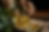 AdobeStock_234449564 1.png