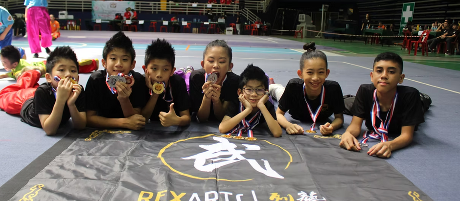 Why Wushu Is a Popular CCA in Singapore Schools and What It Teaches Beyond Sport