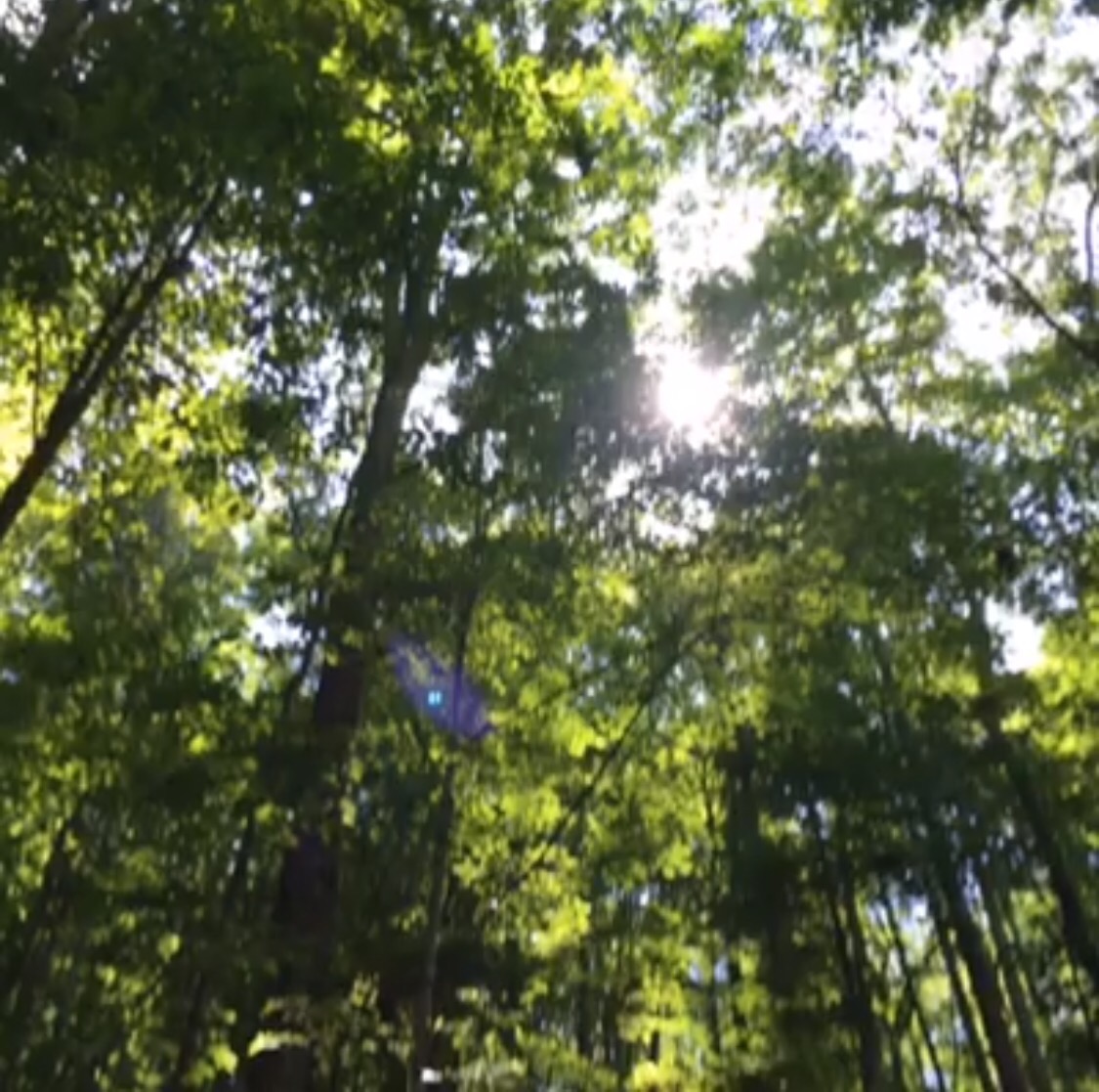 ACTIVITIES millercabins