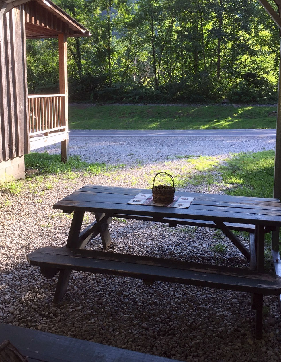 Picnic Area