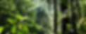 Mask group (9).png