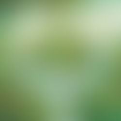 Unlocking the Potential of Nature-based Solutions: A Global Compendium of Participatory Monitoring Methods