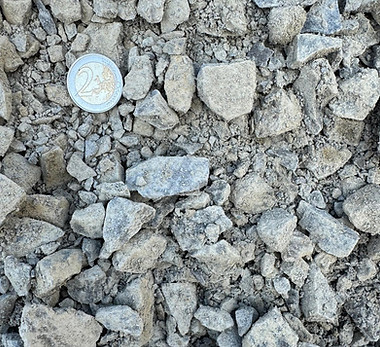 20250314 - 0_31.5 S LC.jpg