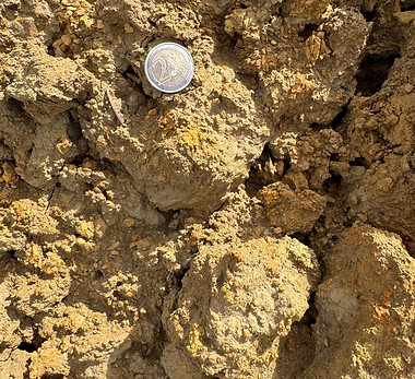 20250310 - Argile SMP.jpg