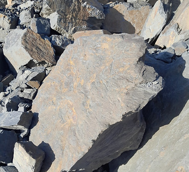 20250326 - Blocs MF.jpg